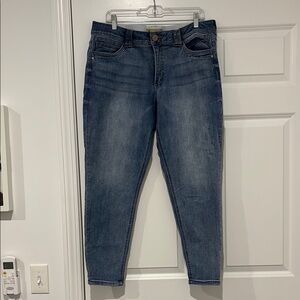 Democracy “Ab Solution” Blue Ankle Length Skinny Jeans